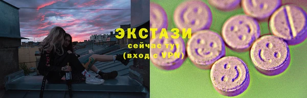 гидра Инсар