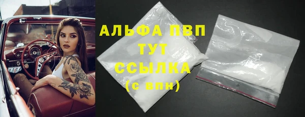 гидра Инсар