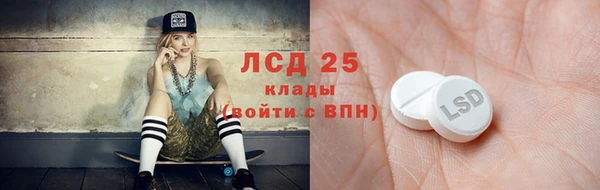 гидра Инсар