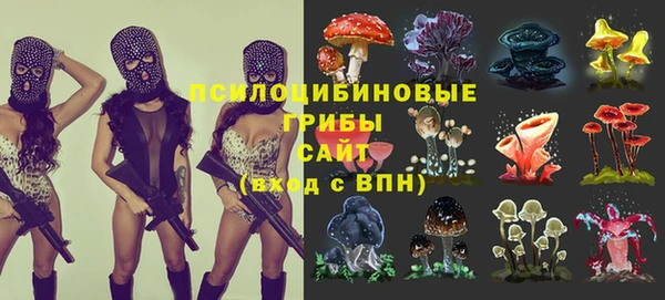 тгк Каменка