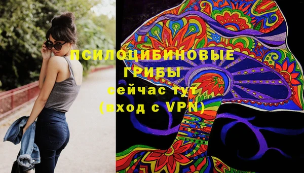 альфа пвп Инта