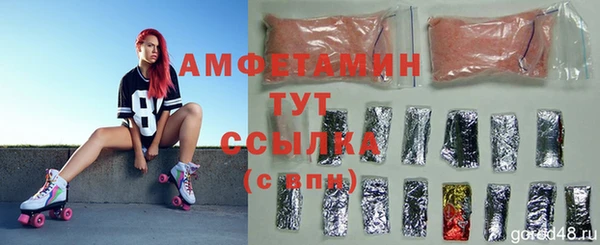 гидра Инсар