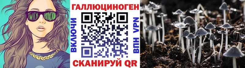 Псилоцибиновые грибы Psilocybine cubensis  Купить где  Мосальск 