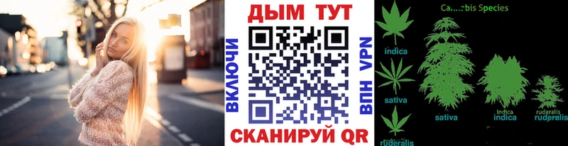 Купить  Мосальск  Канабис ГИДРОПОН 